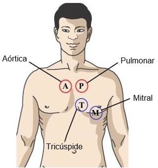Focos da ausculta.