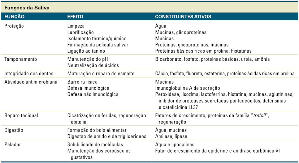 Funções da saliva.