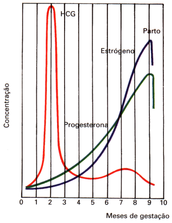 HCG.