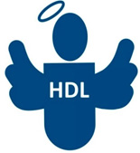 HDL (bom colesterol).