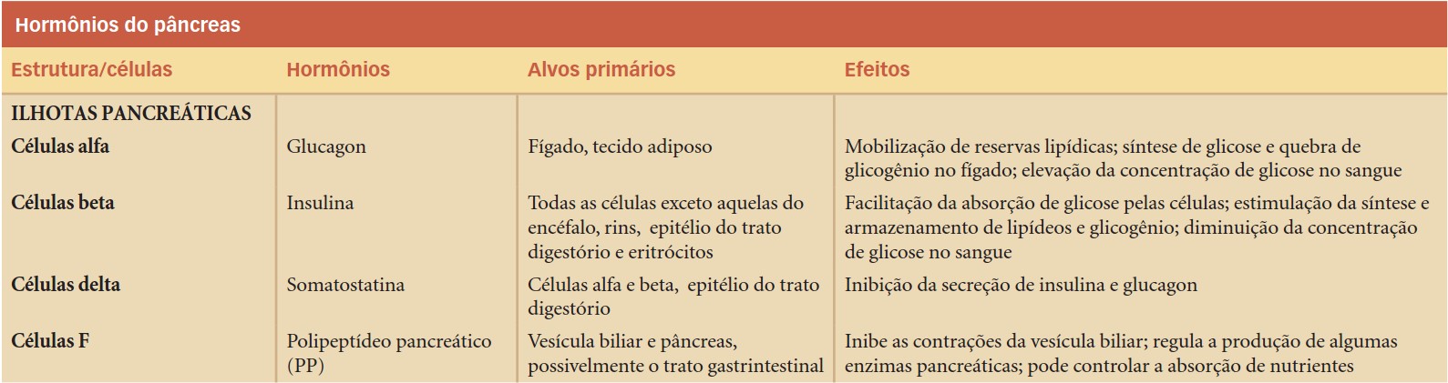 Hormônios do pâncreas endócrino (ilhotas pancreáticas ou ilhotas de Langerhans.