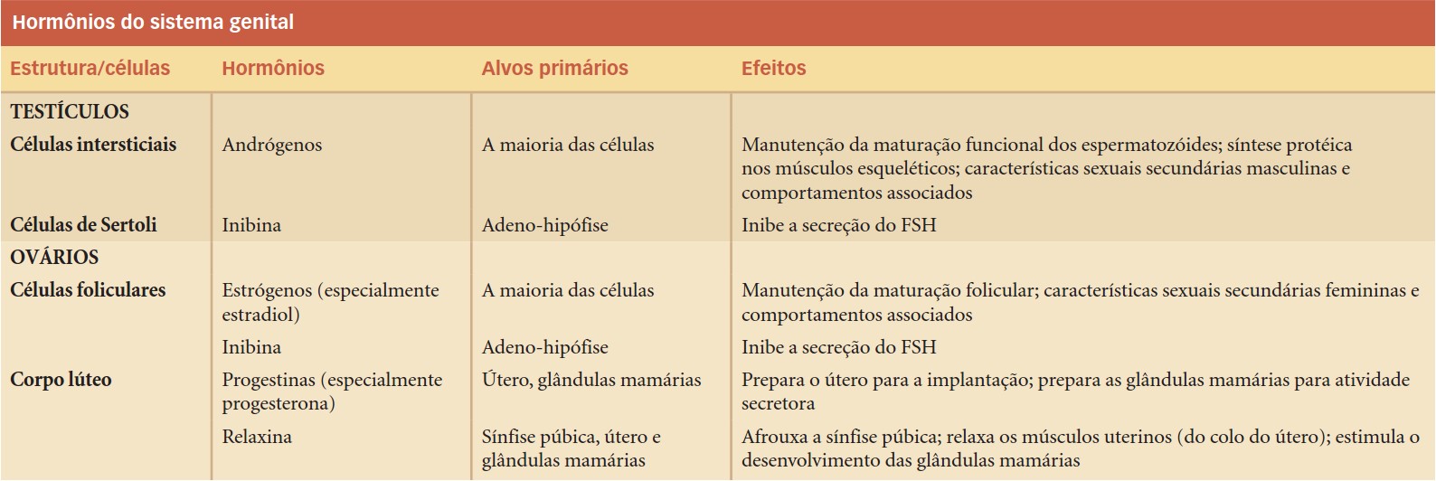 Hormônios do sistema genital.