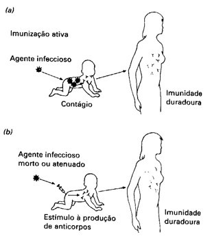 Imunização ativa e passiva.