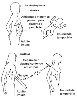 Imunização passiva.