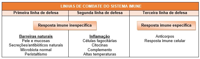 Linhas de combate do sistema imune.