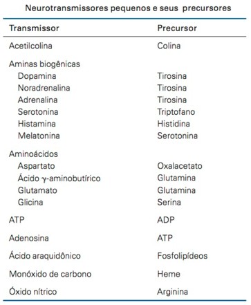 Neurotransmissores pequenos e seus precursores.