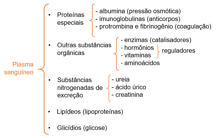 Plasma (composição).