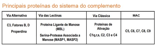 Principais proteínas do sistema do complemento.