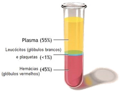 Sangue (componentes).