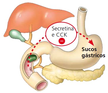 Secretina e colecistoquinina: inibição da secreção.