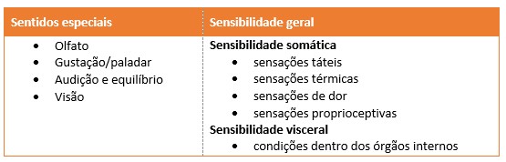 Sentidos especiais e sensibilidade geral.