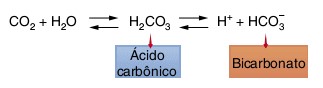 Transporte CO2 plasma.