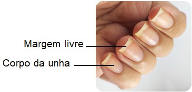 Unhas: corpo e margem visível.