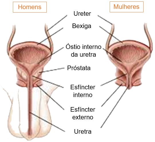 Urinário homem e mulher.