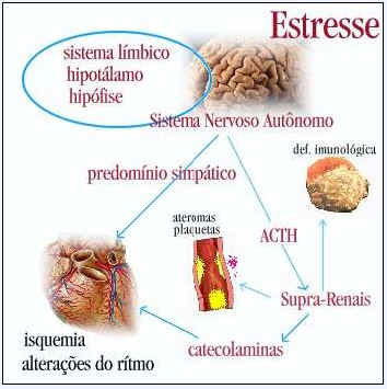 Resposta fisiológica ao estresse.