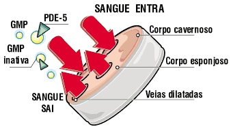 Mecanismo que impede a ereção.