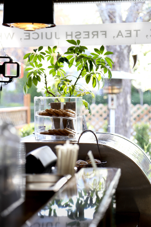 Roots Cafe background image