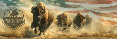 Mud Creek Bison Ranch background image