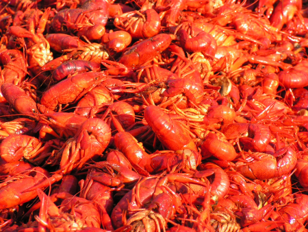 C'est Bon Crawfish background image