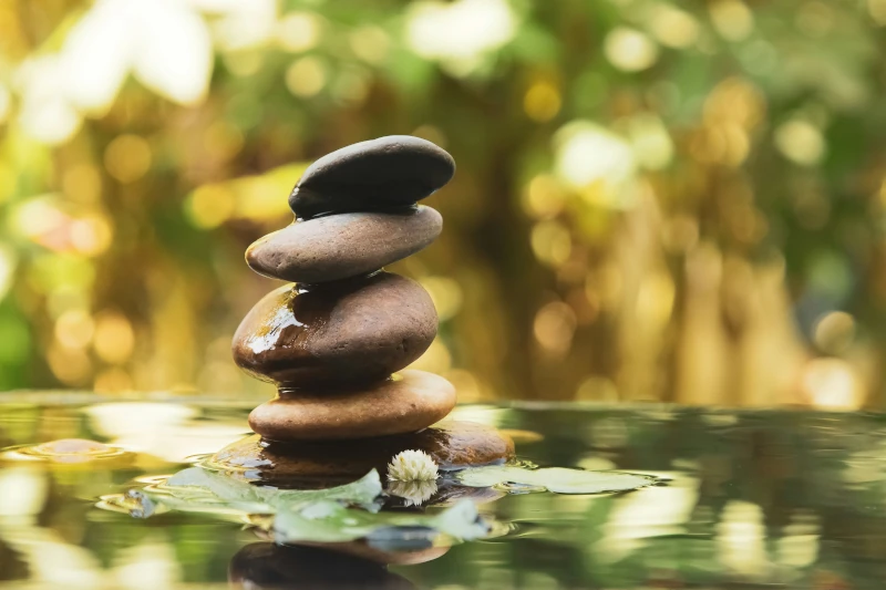 A peaceful scene including a stack of stones stacked amidst Water lilies in a shallow pool.