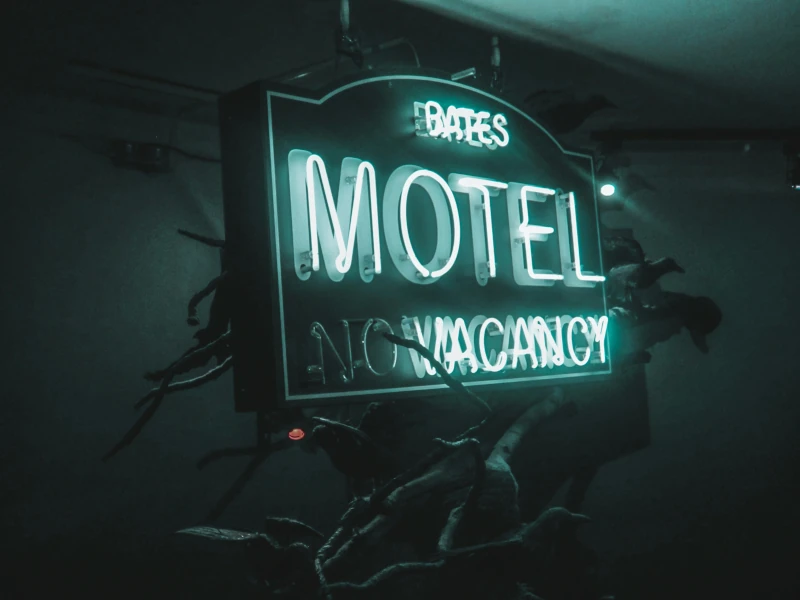 Blue green motel neon sign with smoky lighting and dead branches around it.