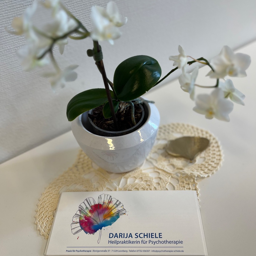 Praxisfoto 3 von Darija Schiele