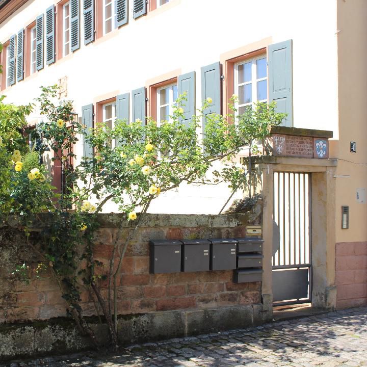 Praxisfoto 1 von Roland Schenck