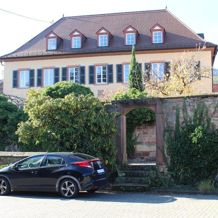 Praxisfoto 2 von Roland Schenck