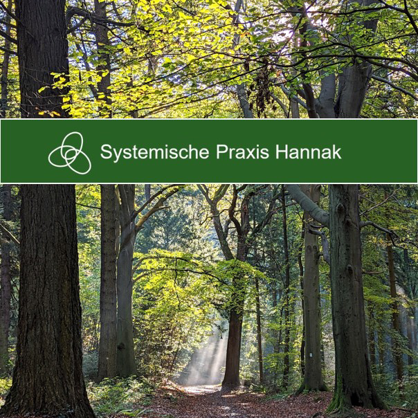 Praxisfoto 1 von Sabine Hannak