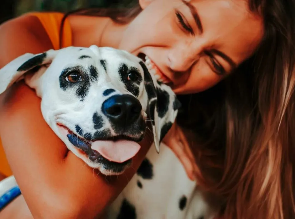 Dalmatian