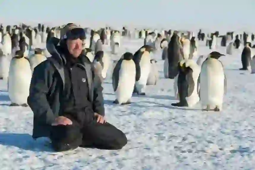 エンペラーペンギン