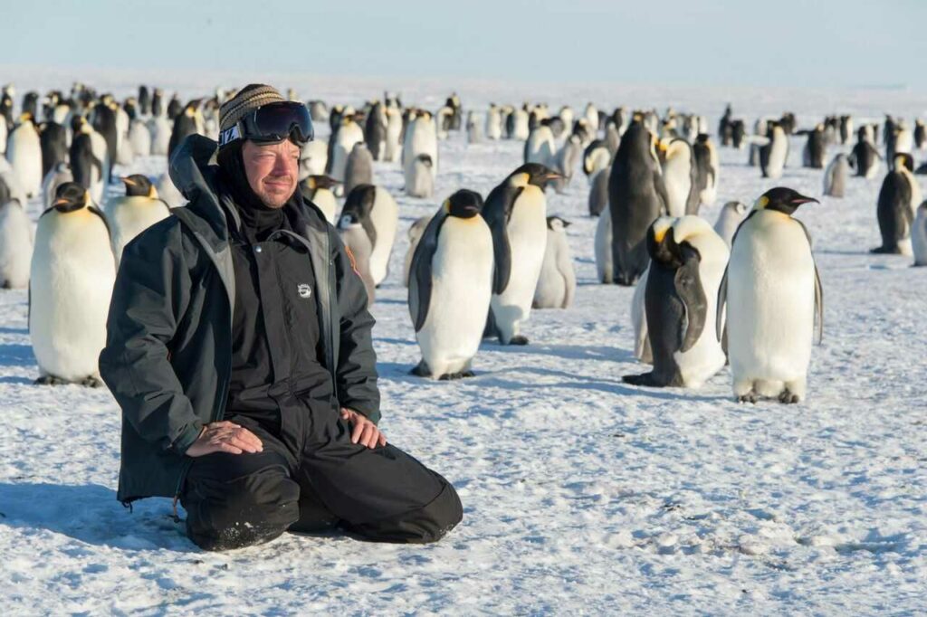 Emperor Penguin