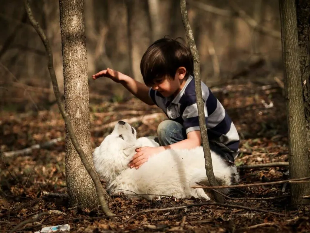 Great Pyrenees