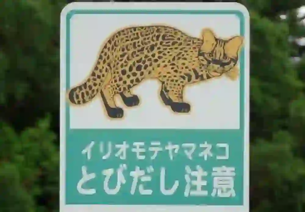 看板