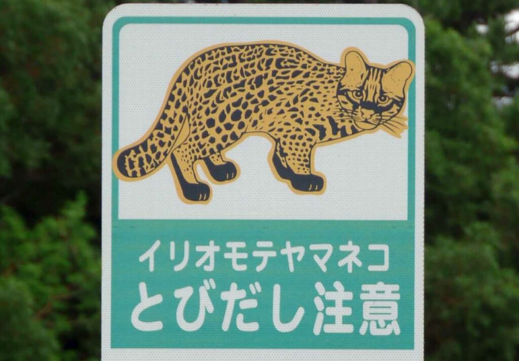 看板