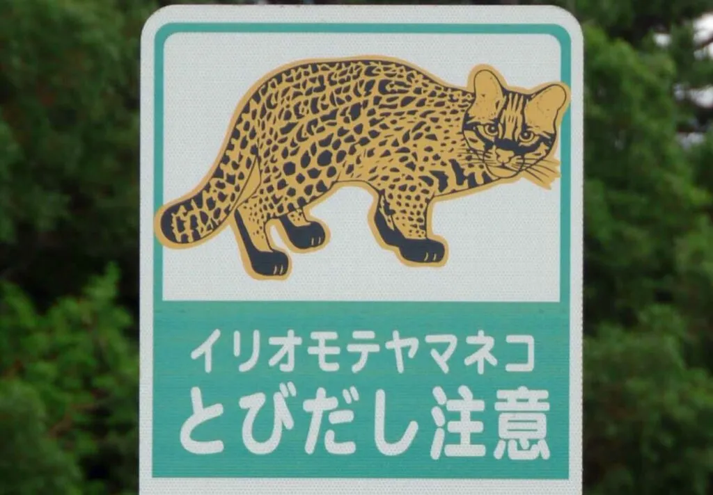 看板