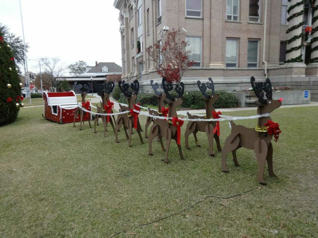 Reindeer