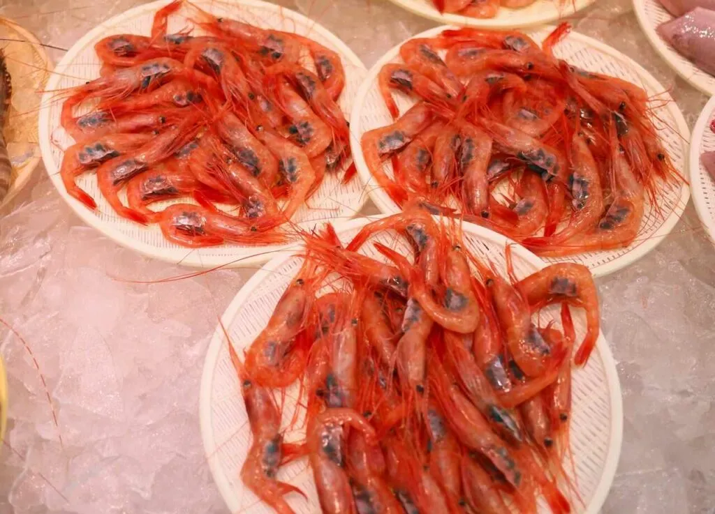 Shrimp