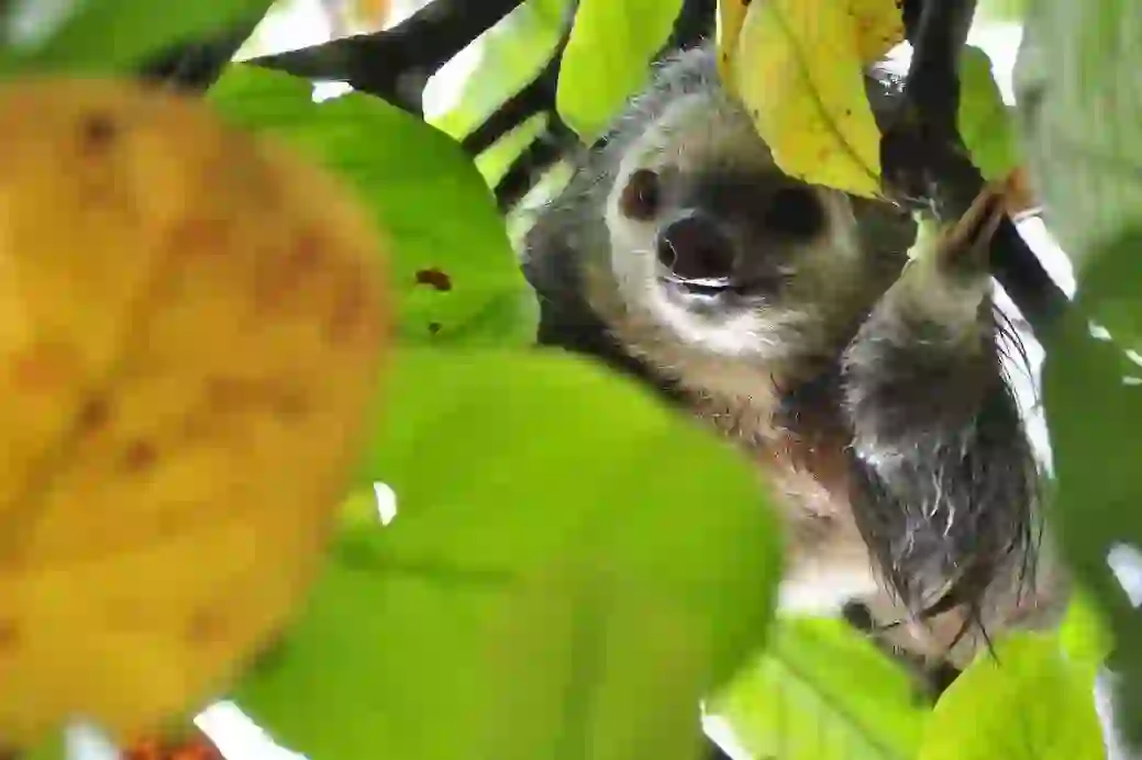 Oshima Park Zoo