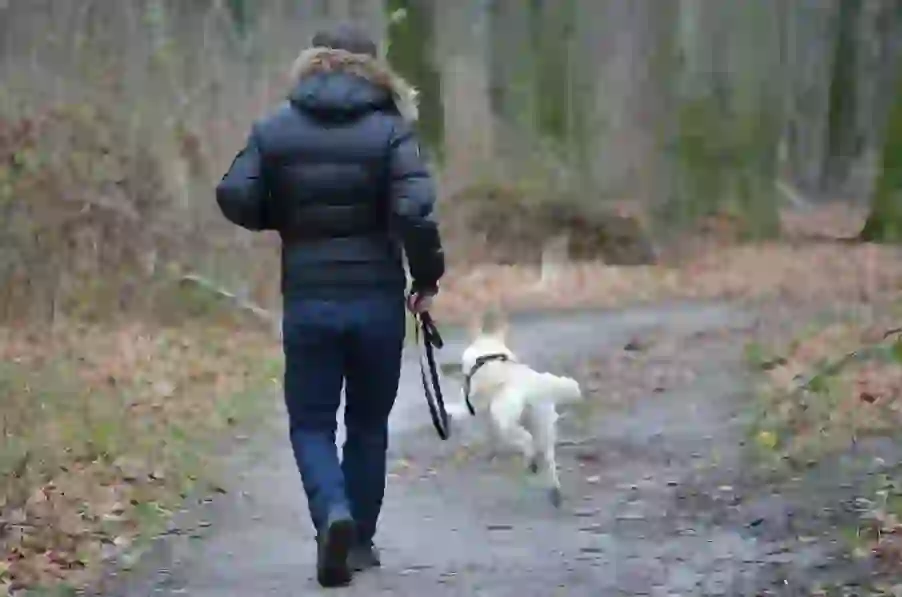 飼い犬に手を噛まれる（かいいぬにてをかまれる）