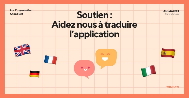 Couverture de l'article avec des drapeaux de différents pays avec au centre deux bulles de dialogue avec des flèches, indiquant la traduction de l'application.