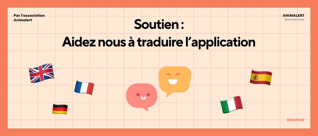 Couverture de l'article avec des drapeaux de différents pays avec au centre deux bulles de dialogue avec des flèches, indiquant la traduction de l'application.