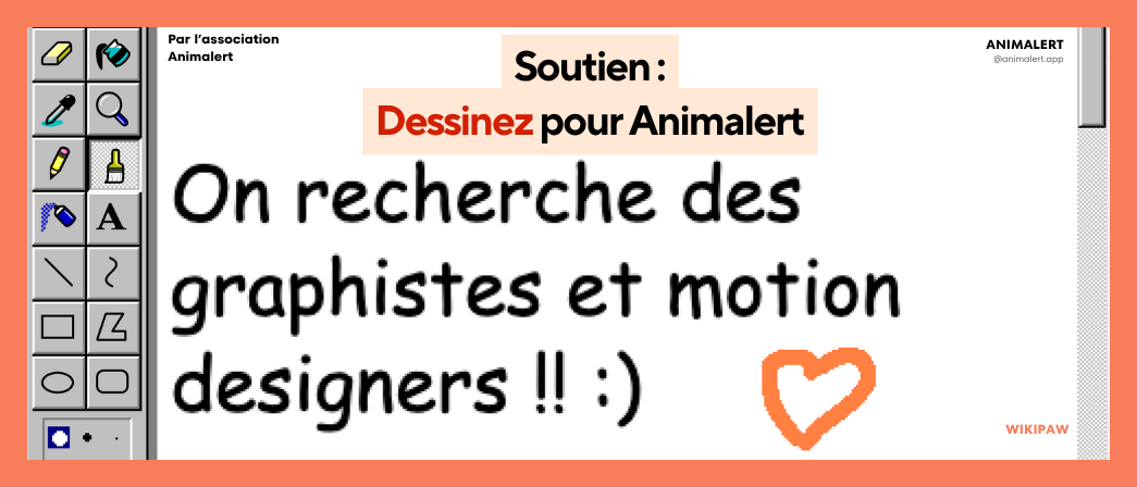 Couverture de l'article dessinez pour Animalert, représentant une interface d'application de dessin avec le titre de l'article.