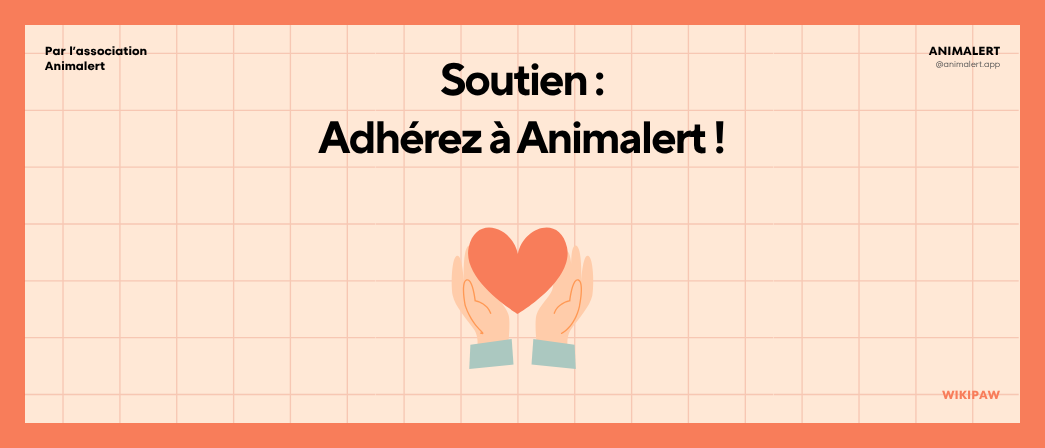 Couverture de l'article représentant l'adhésion à l'association Animalert pour la cause animale.
