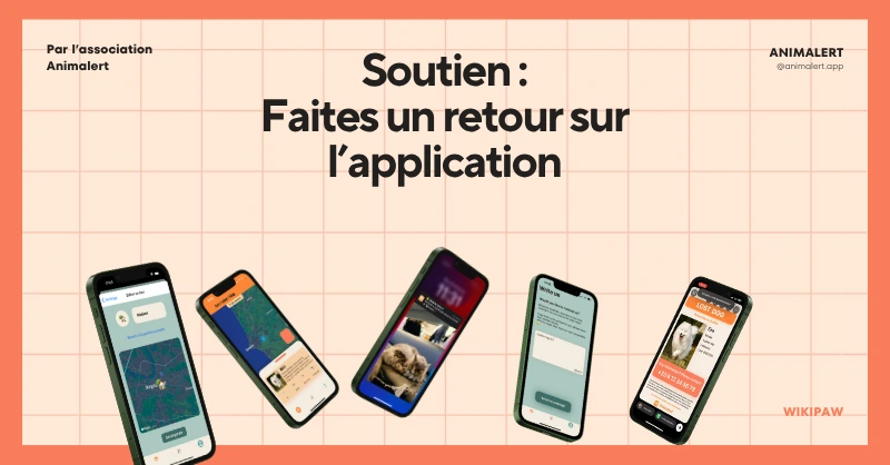 Couverture departage illustrée avec différents écrans de l'application pour montrer les différentes fonctionnalités sur lesquelles il est possible de faire un retour, comme le signalement d'animaux perdus.