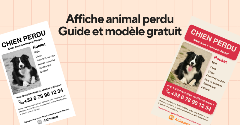 Couverture de partage de l'article avec 2 affiches de notre générateur