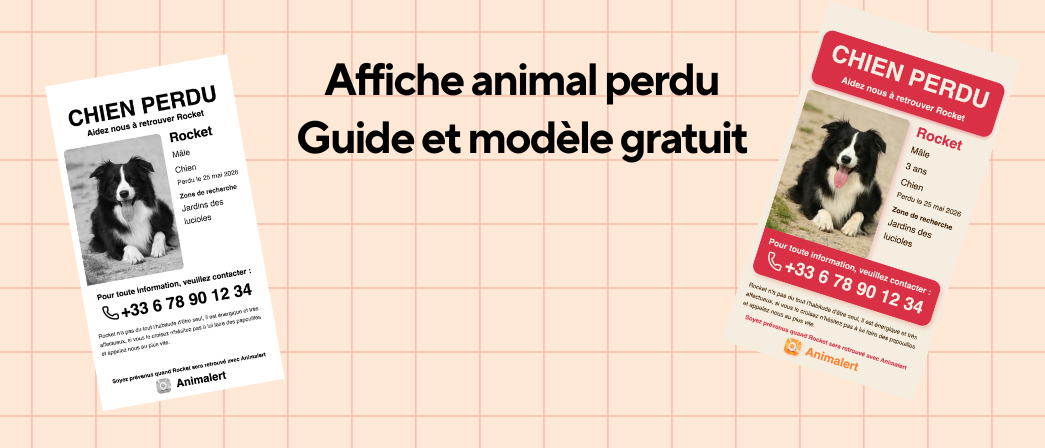 Couverture de l'article avec 2 affiches de notre générateur