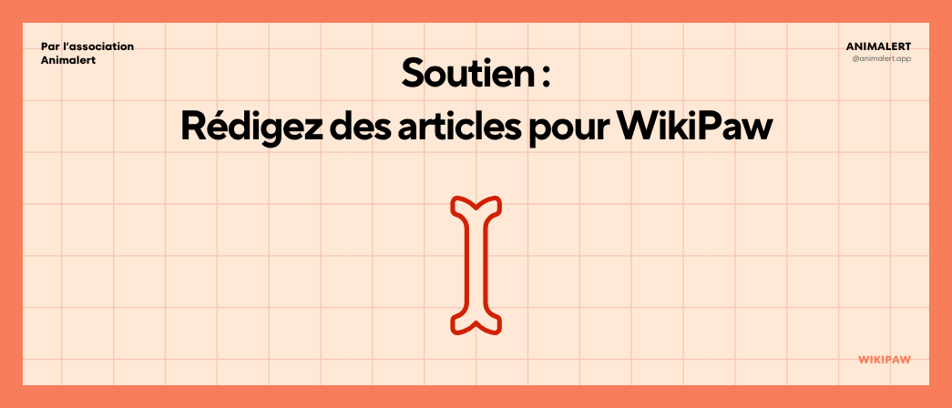 Couverture de l'article avec au centre un curseur d'écriture, symbolisant la rédaction d'articles pour le blog WikiPaw.