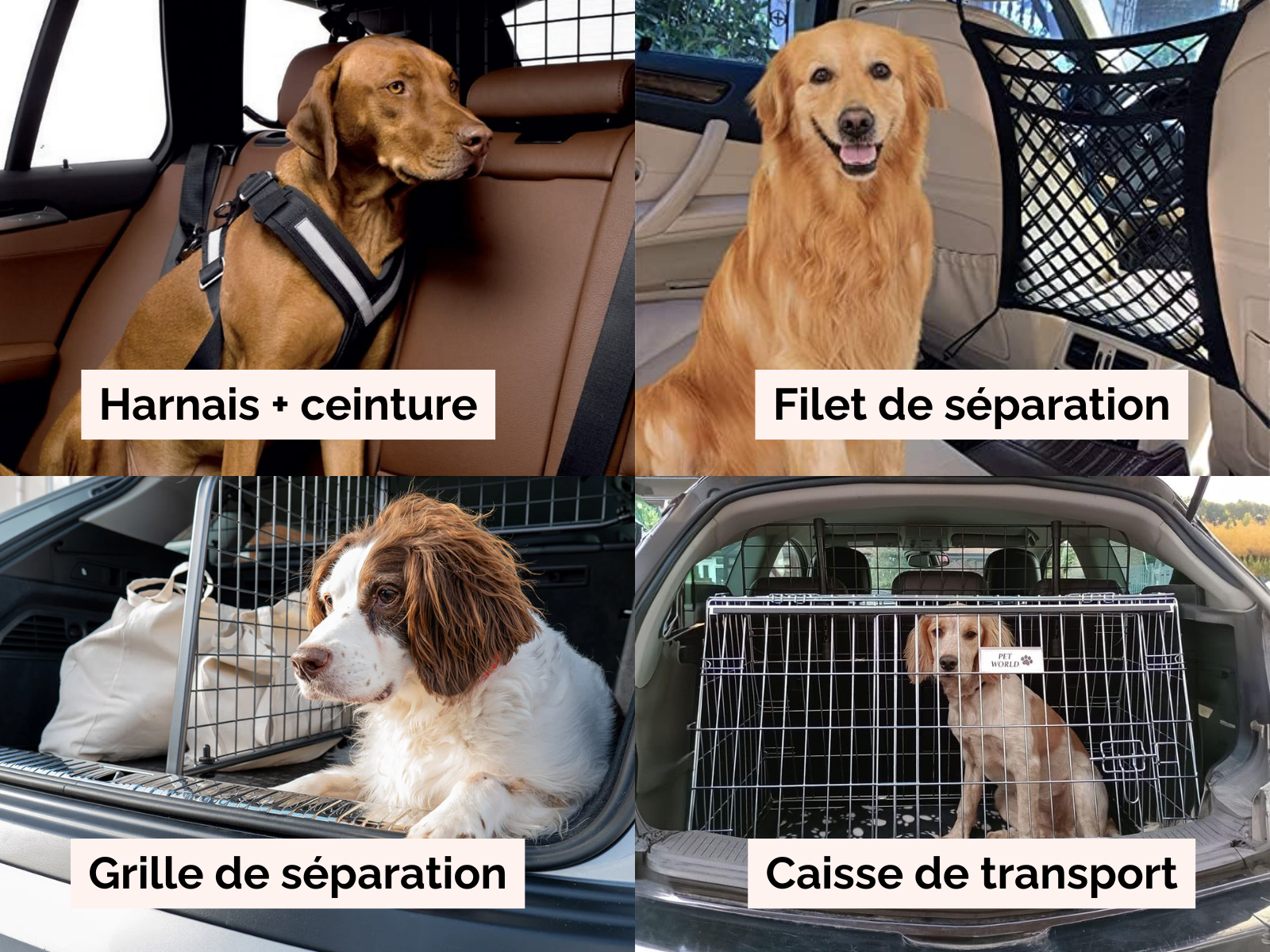 Comparatif des quatre dispositifs pour transporter un chien en voiture en sécurité : harnais relié à la ceinture, caisse de transport arrimée, grille de séparation et filet de séparation