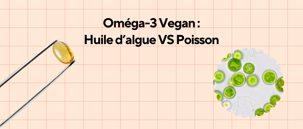 Micro-algue Schizochytrium sp., source végétale du DHA Oméga-3, alternative pure à l'huile de poisson